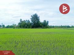 ขายที่ดินทำนา เนื้อที่ 5 ไร่ 3 งาน 92 ตารางวา หนองโอ่ง อู่ทอง สุพรรณบุรี-202509031223571756877037191.jpg