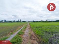 ขายที่ดินทำนา เนื้อที่ 5 ไร่ 3 งาน 92 ตารางวา หนองโอ่ง อู่ทอง สุพรรณบุรี-202509031223571756877037776.jpg