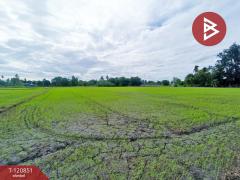 ขายที่ดินทำนา เนื้อที่ 5 ไร่ 3 งาน 92 ตารางวา หนองโอ่ง อู่ทอง สุพรรณบุรี-202509031223581756877038322.jpg