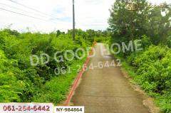 NY-984864 ที่ดินราชสาส์น 13 ไร่ 31ตร.ว. ฉะเชิงเทรา ใกล้ กศน.บางคา-202509031310351756879835605.jpg