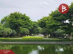 ขายบ้านเดี่ยว หมู่บ้านนันทวัน อุทยาน-อักษะ (Nanthawan Uthayan-Aksa) นครปฐม-202509031325531756880753797.jpg