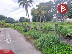 ขายที่ดินเปล่า เนื้อที่ 3 งาน 76 ตารางวา แสนสุข ชลบุรี-202509031333441756881224141.jpg