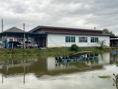 ขายที่ดิน พร้อมธุรกิจฟาร์มปลา (ปลาพลวงชมพูและปลาเวียน มีที่เดียวในโลก) และสิ่งปลูกสร้าง ตำบลหนองหนาม เมืองลำพูน (เจ้าของขายเอง)-202509031404121756883052842.jpg
