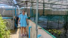 ขายที่ดิน พร้อมธุรกิจฟาร์มปลา (ปลาพลวงชมพูและปลาเวียน มีที่เดียวในโลก) และสิ่งปลูกสร้าง ตำบลหนองหนาม เมืองลำพูน (เจ้าของขายเอง)-202509031404231756883063284.jpg