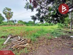 ขายที่ดิน เนื้อที่ 2 ไร่ ตะพานหิน พิจิตร-202509031503411756886621809.jpg