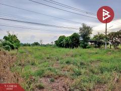 ขายที่ดิน เนื้อที่ 2 ไร่ ตะพานหิน พิจิตร-202509031503421756886622431.jpg