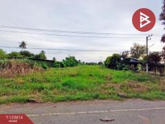 ขายที่ดิน เนื้อที่ 2 ไร่ ตะพานหิน พิจิตร-202509031503421756886622963.jpg