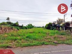 ขายที่ดิน เนื้อที่ 2 ไร่ ตะพานหิน พิจิตร-202509031503431756886623483.jpg
