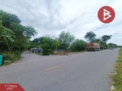 ขายบ้านเดี่ยว เนื้อที่ 2 ไร่ 55.9 ตร.วา อู่ทอง สุพรรณบุรี-202509031509031756886943686.jpg