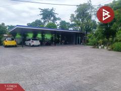 ขายบ้านเดี่ยว เนื้อที่ 2 ไร่ 55.9 ตร.วา อู่ทอง สุพรรณบุรี-202509031509051756886945619.jpg