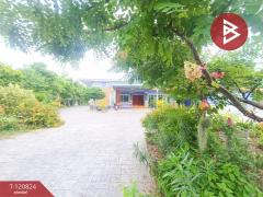 ขายบ้านเดี่ยว เนื้อที่ 2 ไร่ 55.9 ตร.วา อู่ทอง สุพรรณบุรี-202509031509061756886946190.jpg