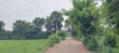 ที่ดิน2 ไร่ ต.สูงเนิน อ.สูงเนิน จ.นครราชสีมา-202509031524181756887858026.jpg
