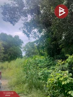 ขายที่ดิน เนื้อที่ 30 ไร่ 1 งาน 2.9 ตร.วา ท่าใหม่ จันทบุรี-202509031541201756888880777.jpg