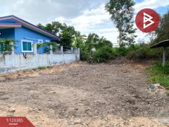 ขายที่ดิน เนื้อที่ 50 ตร.วา สิงหนคร สงขลา-202509031556181756889778518.jpg