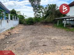 ขายที่ดิน เนื้อที่ 50 ตร.วา สิงหนคร สงขลา-202509031556191756889779574.jpg