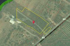 ขายที่ดินเปล่า เนื้อที่ 9-2-82.6 ไร่ ติดถนนหมายเลข 1156 ใกล้ อบต.บ้านเรือน-202509031627141756891634828.jpg