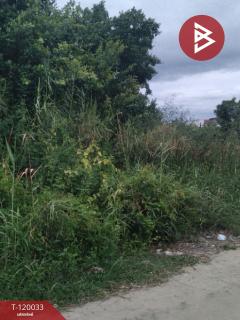 ขายที่ดิน-เนื้อที่-3-งาน-95-ตร.วา-หนองแข