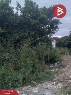 ขายที่ดิน เนื้อที่ 3 งาน 95 ตร.วา หนองแขม กรุงเทพมหานคร-202509031658511756893531277.jpg