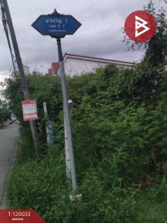 ขายที่ดิน เนื้อที่ 3 งาน 95 ตร.วา หนองแขม กรุงเทพมหานคร-202509031658511756893531805.jpg