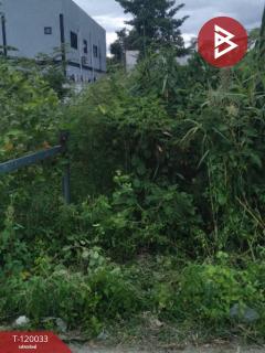 ขายที่ดิน เนื้อที่ 3 งาน 95 ตร.วา หนองแขม กรุงเทพมหานคร-202509031658521756893532327.jpg