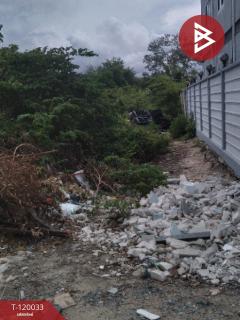 ขายที่ดิน เนื้อที่ 3 งาน 95 ตร.วา หนองแขม กรุงเทพมหานคร-202509031658521756893532849.jpg