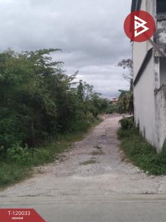 ขายที่ดิน เนื้อที่ 3 งาน 95 ตร.วา หนองแขม กรุงเทพมหานคร-202509031658531756893533906.jpg