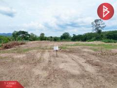 ขายที่ดิน เนื้อที่ 2 งาน 58 ตร.วา ท่ายาง เพชรบุรี-202509031739481756895988832.jpg