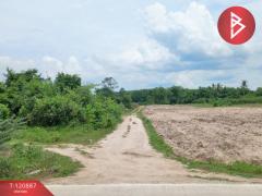 ขายที่ดิน เนื้อที่ 2 งาน 58 ตร.วา ท่ายาง เพชรบุรี-202509031739491756895989790.jpg