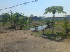 ขาย ที่ดิน ตำบล ท่าตำหนัก อำเภอนครชัยศรี นครปฐม 5 ไร่ 1 งาน 56 ตรว เหมาะสร้างโรงแรม ร้านอาหาร ปั้มน้ำมัน สปอร์ตคอมเพล็กซ์-202509032247051756914425861.jpg