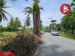 ขายที่ดิน เนื้อที่ 1 ไร่ 2 งาน 98.5 ตร.วา ศรีราชา ชลบุรี-202509041106111756958771757.jpg