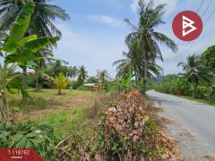 ขายที่ดิน เนื้อที่ 1 ไร่ 2 งาน 98.5 ตร.วา ศรีราชา ชลบุรี-202509041106131756958773893.jpg