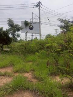 ขายที่ดินถมแล้ว   2 ไร่  2 งาน        หน้าม.จิรโชติ  ถนนเลี่ยงเมือง ต.ท่าทอง อ.เมือง จ.พิษณุโลก