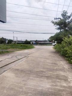 ขายที่ดินถมแล้ว   2 ไร่  2 งาน        หน้าม.จิรโชติ  ถนนเลี่ยงเมือง ต.ท่าทอง อ.เมือง จ.พิษณุโลก-202509041133231756960403332.jpg