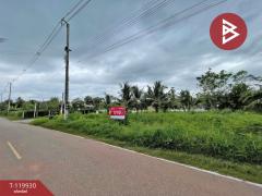 ขายที่ดิน เนื้อที่ 1 ไร่ 19 ตร.วา บางคนที สมุทรสงคราม-202509041208351756962515427.jpg