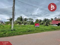 ขายที่ดิน เนื้อที่ 1 ไร่ 19 ตร.วา บางคนที สมุทรสงคราม-202509041208351756962515948.jpg