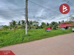 ขายที่ดิน เนื้อที่ 1 ไร่ 19 ตร.วา บางคนที สมุทรสงคราม-202509041208361756962516467.jpg