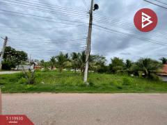 ขายที่ดิน เนื้อที่ 1 ไร่ 19 ตร.วา บางคนที สมุทรสงคราม-202509041208361756962516994.jpg