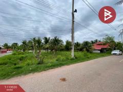 ขายที่ดิน เนื้อที่ 1 ไร่ 19 ตร.วา บางคนที สมุทรสงคราม-202509041208381756962518050.jpg