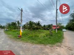 ขายที่ดิน เนื้อที่ 1 ไร่ 19 ตร.วา บางคนที สมุทรสงคราม-202509041208381756962518579.jpg