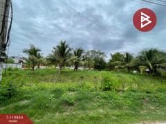 ขายที่ดิน เนื้อที่ 1 ไร่ 19 ตร.วา บางคนที สมุทรสงคราม-202509041208391756962519105.jpg