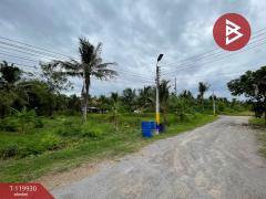 ขายที่ดิน เนื้อที่ 1 ไร่ 19 ตร.วา บางคนที สมุทรสงคราม-202509041208391756962519627.jpg