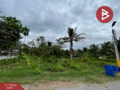 ขายที่ดิน เนื้อที่ 1 ไร่ 19 ตร.วา บางคนที สมุทรสงคราม-202509041208401756962520150.jpg