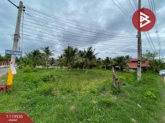 ขายที่ดิน เนื้อที่ 1 ไร่ 19 ตร.วา บางคนที สมุทรสงคราม-202509041208411756962521234.jpg