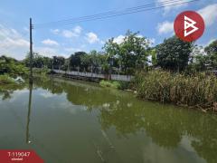 ขายทาวน์เฮ้าส์ หมู่บ้านกานดา เพลส วงแหวน-ประชาอุทิศ76 สมุทรปราการ-202509041242471756964567911.jpg