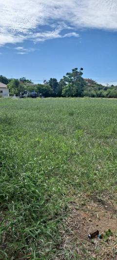 ขายต่ำกว่าราคาประเมิน !! ที่ดิน 62.6 ตรว สารินซิตี้ พระราม 2 บ้านเมฆา แปลงสี่เหลี่ยม เหมาะสร้างบ้าน-202509041317371756966657823.jpg