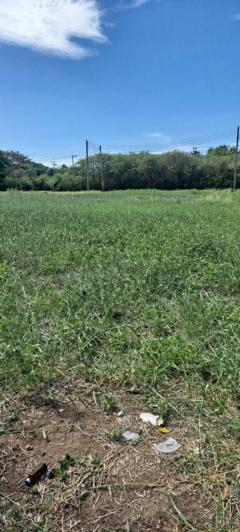 ขายต่ำกว่าราคาประเมิน !! ที่ดิน 62.6 ตรว สารินซิตี้ พระราม 2 บ้านเมฆา แปลงสี่เหลี่ยม เหมาะสร้างบ้าน-202509041317381756966658335.jpg