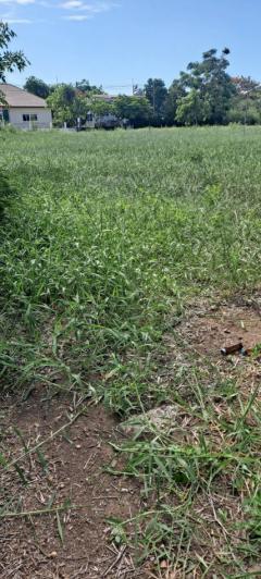 ขายต่ำกว่าราคาประเมิน !! ที่ดิน 62.6 ตรว สารินซิตี้ พระราม 2 บ้านเมฆา แปลงสี่เหลี่ยม เหมาะสร้างบ้าน-202509041317381756966658851.jpg