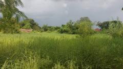 ขายที่ดินพร้อมบ้านเดี่ยว เนื้อที่รวม 4-1-95.1 ไร่ อ.เมืองหนองคาย จังหวัดหนองคาย-202509041401311756969291686.jpg