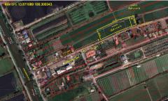 ขายที่ดินเปล่า เนื้อที่ 4–2–2 ไร่ ถนนทางเข้าวัดต้นเชือก-202509041403261756969406718.jpg