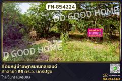 FN-854224-ที่ดินหมู่บ้านพุทธมณฑลแลนด์-ศา